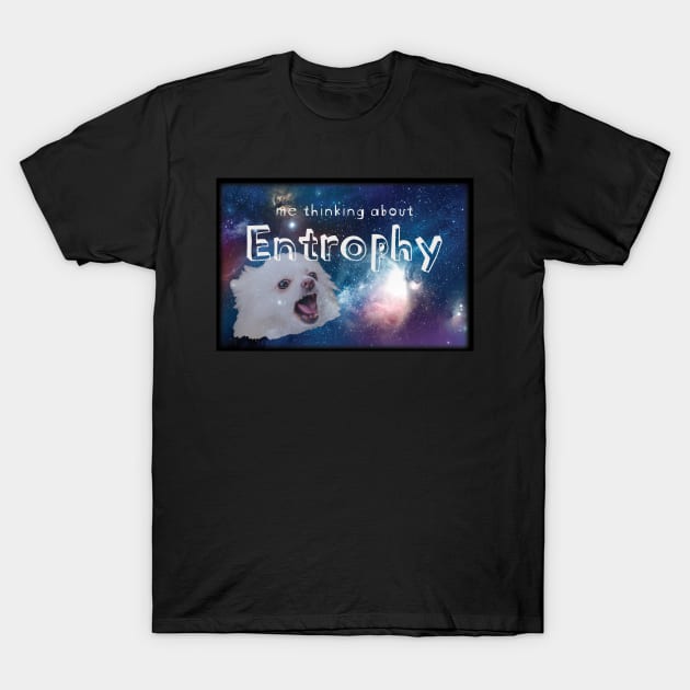 Me Thinking about Entrophy T-Shirt by LovableDuck